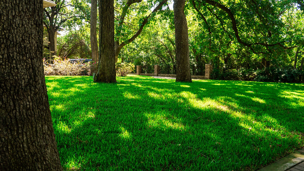  “Top-Rated Sod Installation Services in Colleyville, TX - Transform Your Lawn Today!”