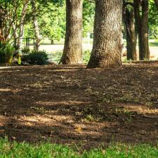 Top-Rated-Sod-Installation-Services-in-Colleyville-TX-Transform-Your-Lawn-Today 10