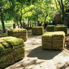 Top-Rated-Sod-Installation-Services-in-Colleyville-TX-Transform-Your-Lawn-Today 3