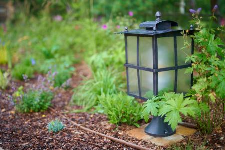 Landscape Lighting